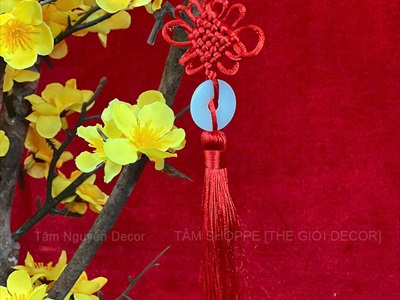 Cây Mai Vàng thân gỗ Cao 130 - 140cm CAYCANH-TET-02